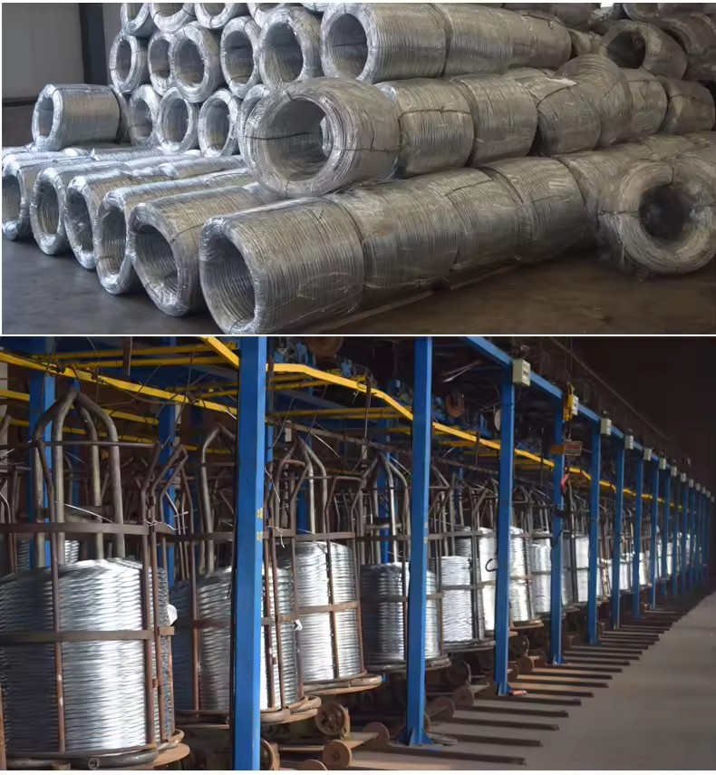 Product Importer Gallery 02 · 12edef1e6a