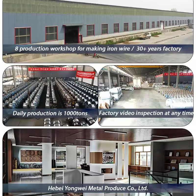 Product Importer Gallery 01 · 1fe0d11205