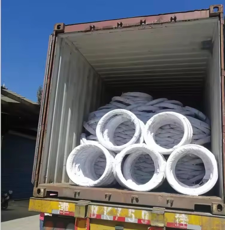 Product Importer Gallery 02 · 567d92b28a