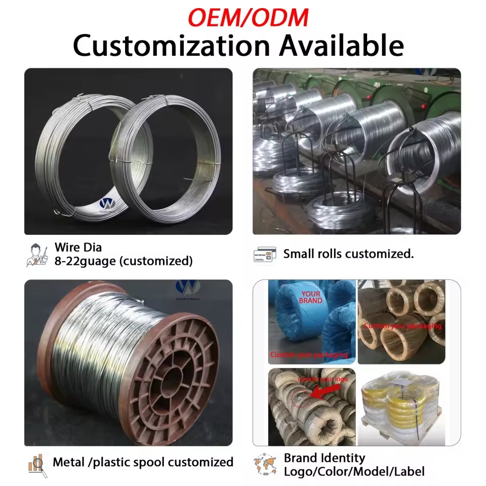 Product Importer Gallery 02 · 652f4c3c3a