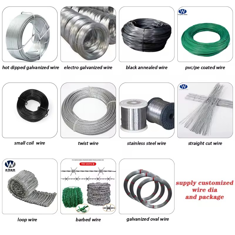 Product Importer Gallery 03 · 8bb947537b