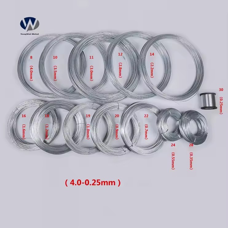 Product Importer Gallery 03 · 9b09300994