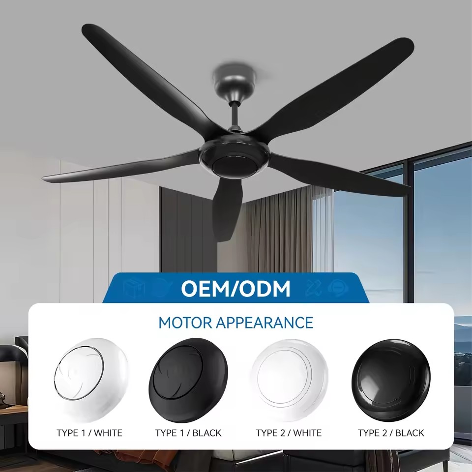 Product Importer Gallery 04 · 952ba7c942