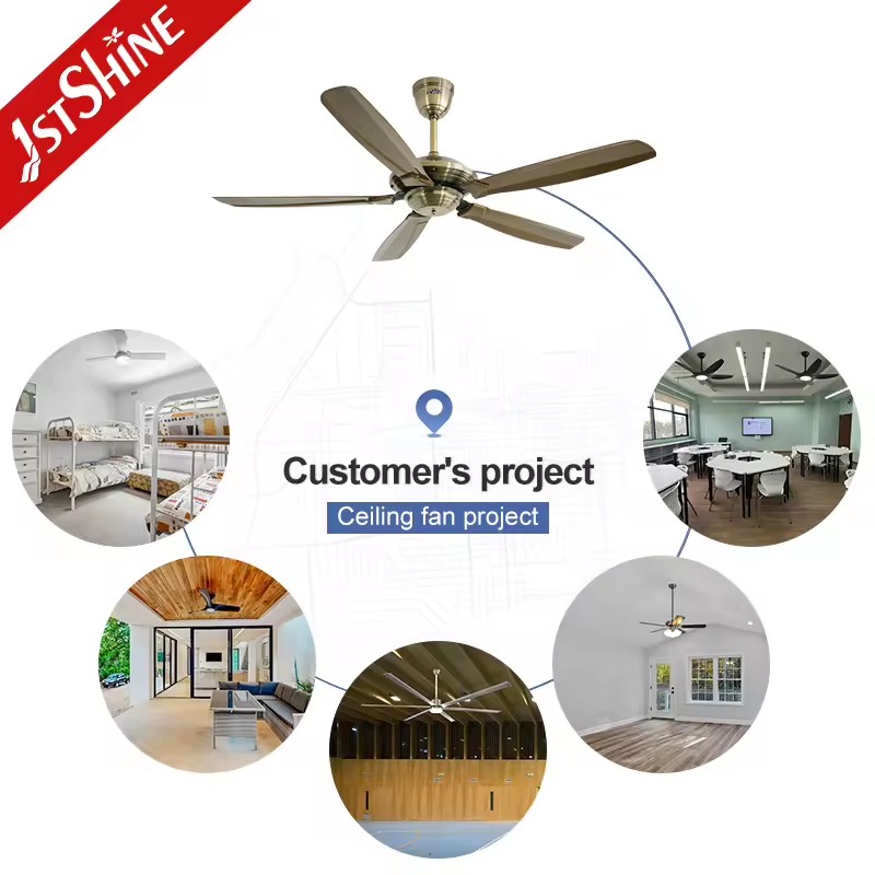 Product Importer Gallery 04 · 9105e19cb3