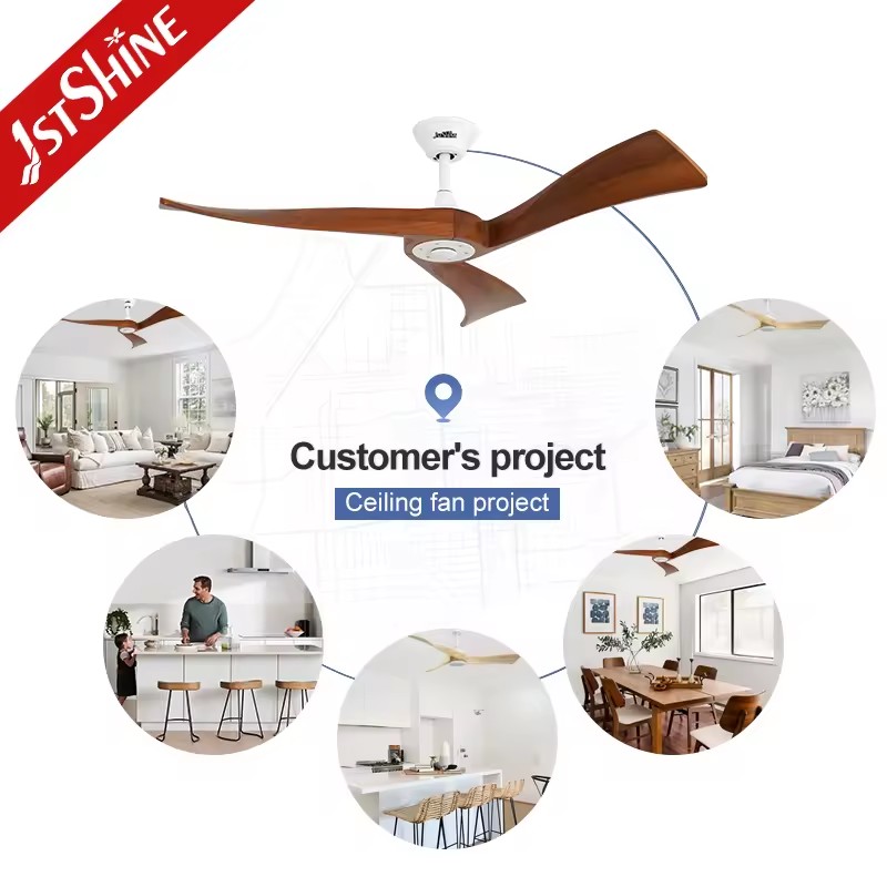 Product Importer Gallery 04 · d908e22324