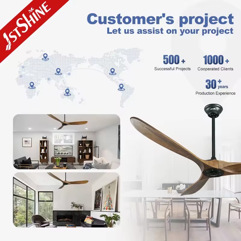 Product Importer Gallery 04 · 549d7ddd63