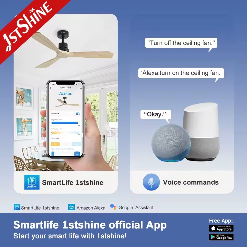 Product Importer Gallery 05 · 58a1f7b155