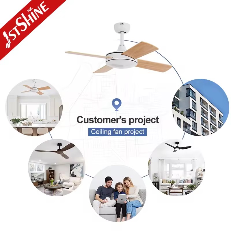 Product Importer Gallery 04 · ea8880ac98