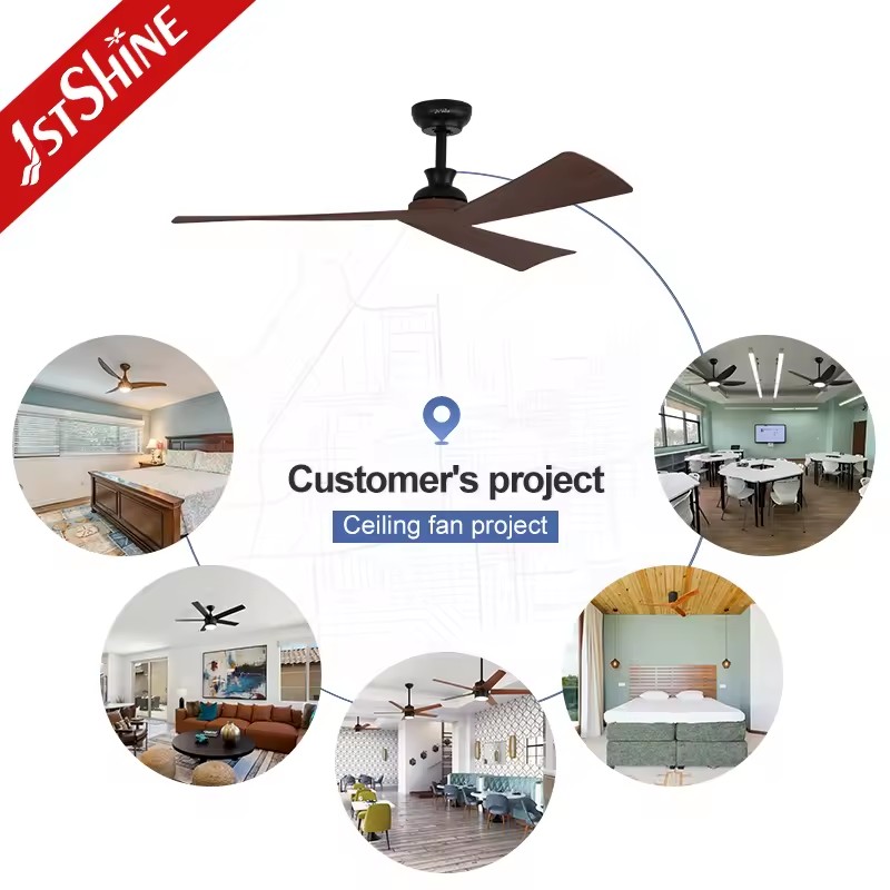 Product Importer Gallery 04 · 13b188ba8a