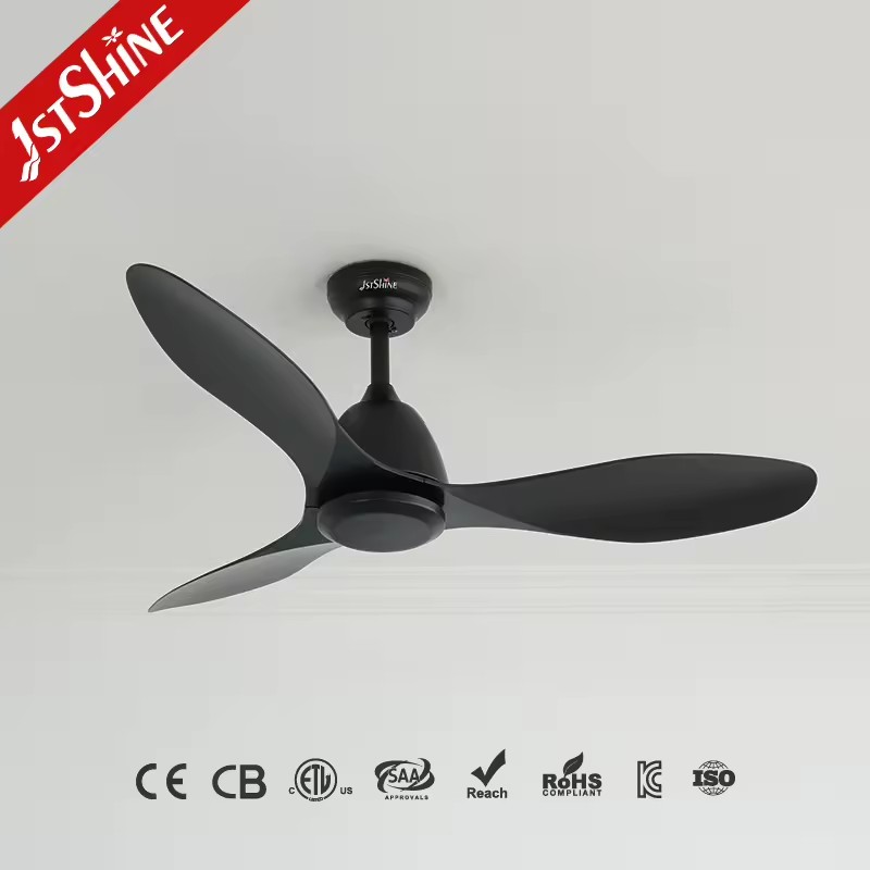 Product Importer Gallery 01 · 6982701638