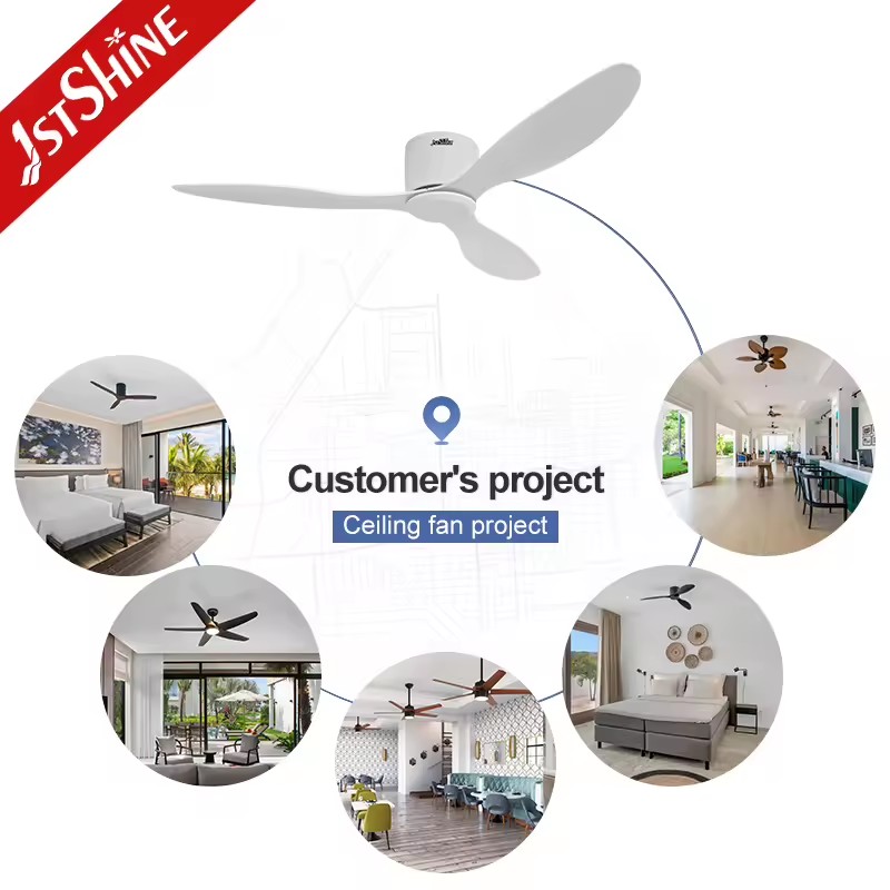 Product Importer Gallery 04 · 57298dd4f5