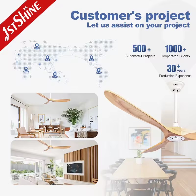 Product Importer Gallery 04 · d8dd45c8eb