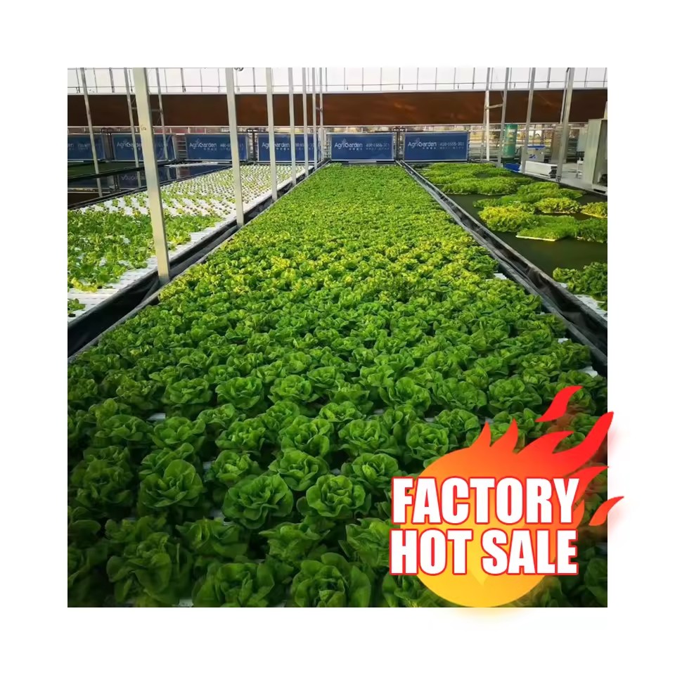 Product Importer Gallery 02 · 6b9c67d252