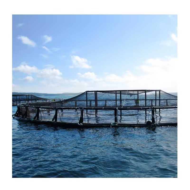 Product Importer Gallery 01 · 44c4a9125e