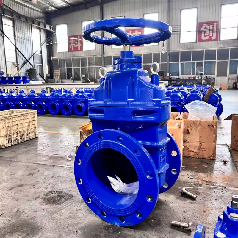 Factory Direct ODM/OEM/Different Size Soft or Hard Seal Ductile Iron Water Gate Valve for Industrial Use High Quality Product
