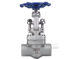 Forged Steel Material, Sleeve Welding, Threaded Joint NPT 800LB, J61F High-temperature Oil and Gas Shut-off Valve F304