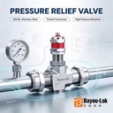 Valve Fitting 316LSS Forged Polished Three-Way Relief Valve, Double Ferrule Tube Safety Unloading Valve for Industrial Pipelines