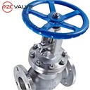 High Quality Jis 10K Stainless Steel SCS13 Flanged Globe Valve