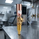 CUPC NSF 372 Lead Free NSF 61 Half Inch F1807 X a Quarter Inch OD Ball Valve with Copper Water Hammer Arrester for Ice Maker
