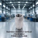 Stainless Steel H12 Vertical Control Check Valve Spring Loaded Threaded OEM Water Oil Gas 1/2"-2" BSP NPT PN16