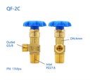 Gas Cylinder Valve QF-2C Carbon Dioxide Brass Valve for Oxygen Cylinder Gas Valve Industrial and LPG Gases Brass Regulator