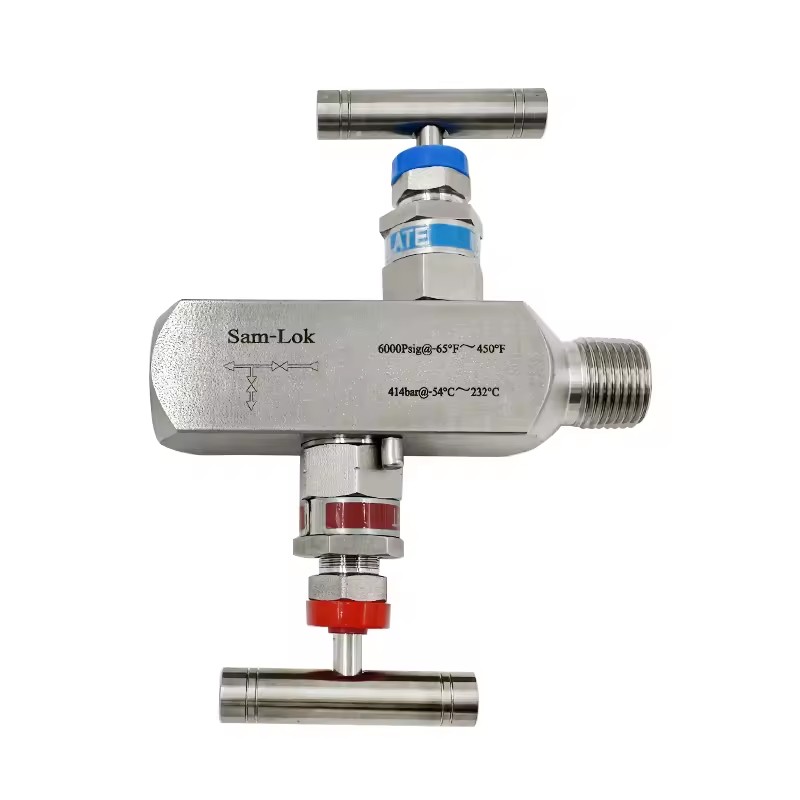 1/2npt Female and Male 6000psi Block and Bleed Pressure Gauge 2 Needle Valve Instrumentation Two Valve Manifold MXF Valve