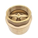 1/2 to 2" 3" 4" Monobloque and Removable Forged Brass Check Valve Non-return Spring Valve