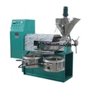 Professional Oil Press Machine Sunflower Cooking Oil Press Machine Macadamia Nut Oil Press