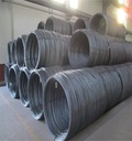 Q195 Q235 Steel Wire Rod 5.5mm 6.5mm Low Carbon SAE 1008 1006 Steel Rod for Nail Making Factory Price