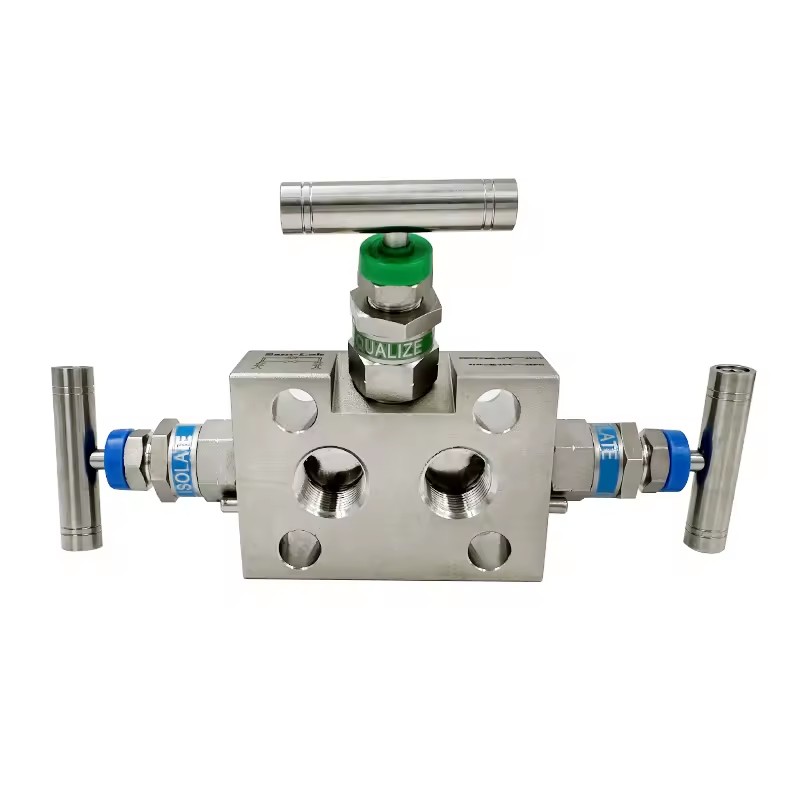 Manual 1/4'' NPT 3-Way Valve with PTFE Packing 6000psi Instrument Manifold for Water Gas Needle Structure