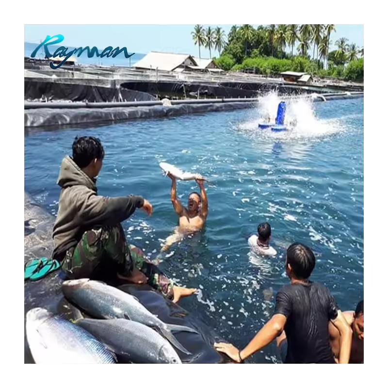 ASTM Standard HDPE Pond Liner 0.5mm HDPE Geomembrane 1.0mm 1.5mm for Fish Farming and Dam HDPE Geomembrane