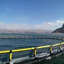 40 Meters Round Hdpe Floating Aquaculture Traps for Agriculture Fish Farming