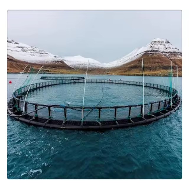 Deep Sea Breeding Aquaculture Industry Fishing Cage