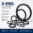 Custom Color and Size 19*2.65 Silicone NBR FKM Rubber O Ring Seal Stock Custom Sealing for Various Applications