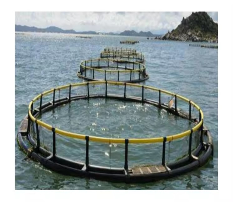 Tilapia Aquaculture Trap Floating Plastic HDPE Square Rectangle Fish Framing Cages in Pond Lake River Fresh Water