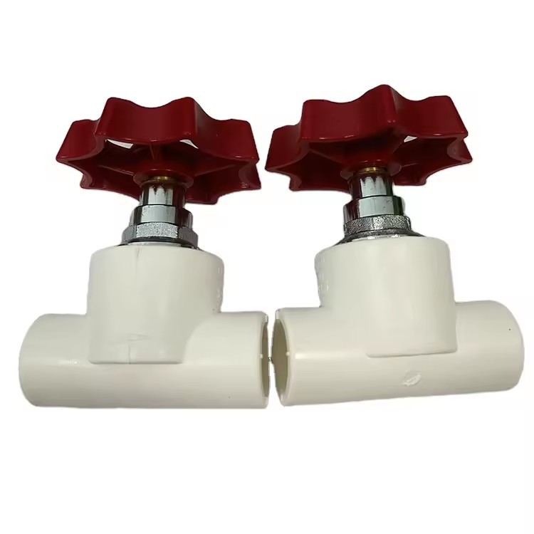 Professional Manufacture German Pressure Control Valve Plumbing Material PPR Check Valve