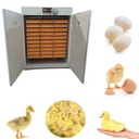 6000 Eggs Solar Power Incubator Automatic Solar Egg Incubator for Sale