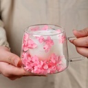 200ml Wall Glass Cup with Dry Flowers Inside Clear Borosilicate Glass Tea Cup Coffee Mug with Handle