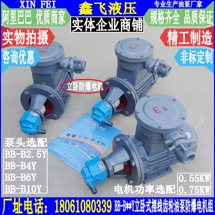 LWBZ-BB-B2.5Y B4Y B6Y B10Y Vertical and Horizontal Explosion-proof Cycloidal Gear Oilfield Pumping Unit with Motor Set