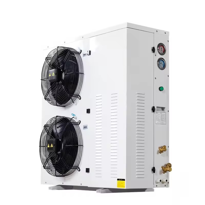Energy Saving Stable Operation Food Warehouse Two Fan Box Type Condensing Unit