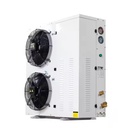 Energy Saving Stable Operation Food Warehouse Two Fan Box Type Condensing Unit
