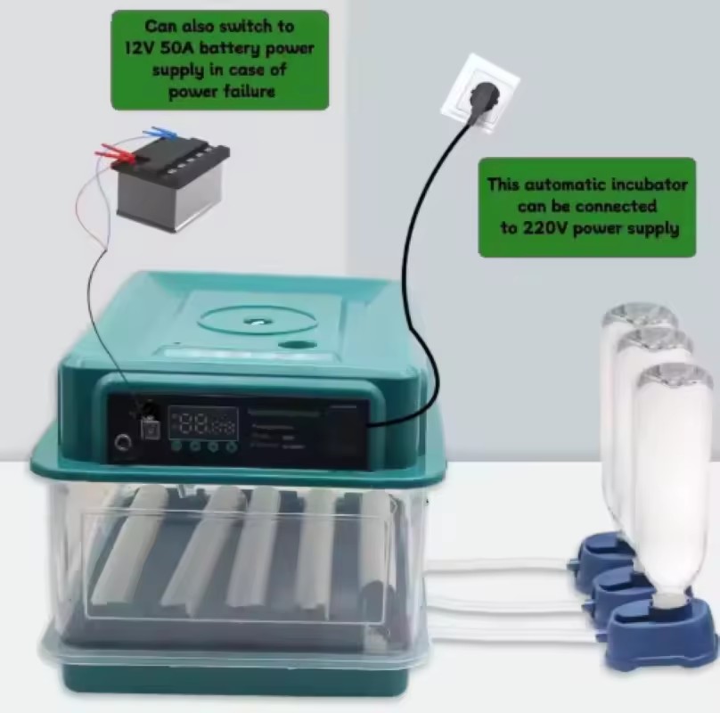 Fully Automatic Egg Incubator Solar Powered Model Energy Saving and Environmentally Friendly Saving Money in the Long Run