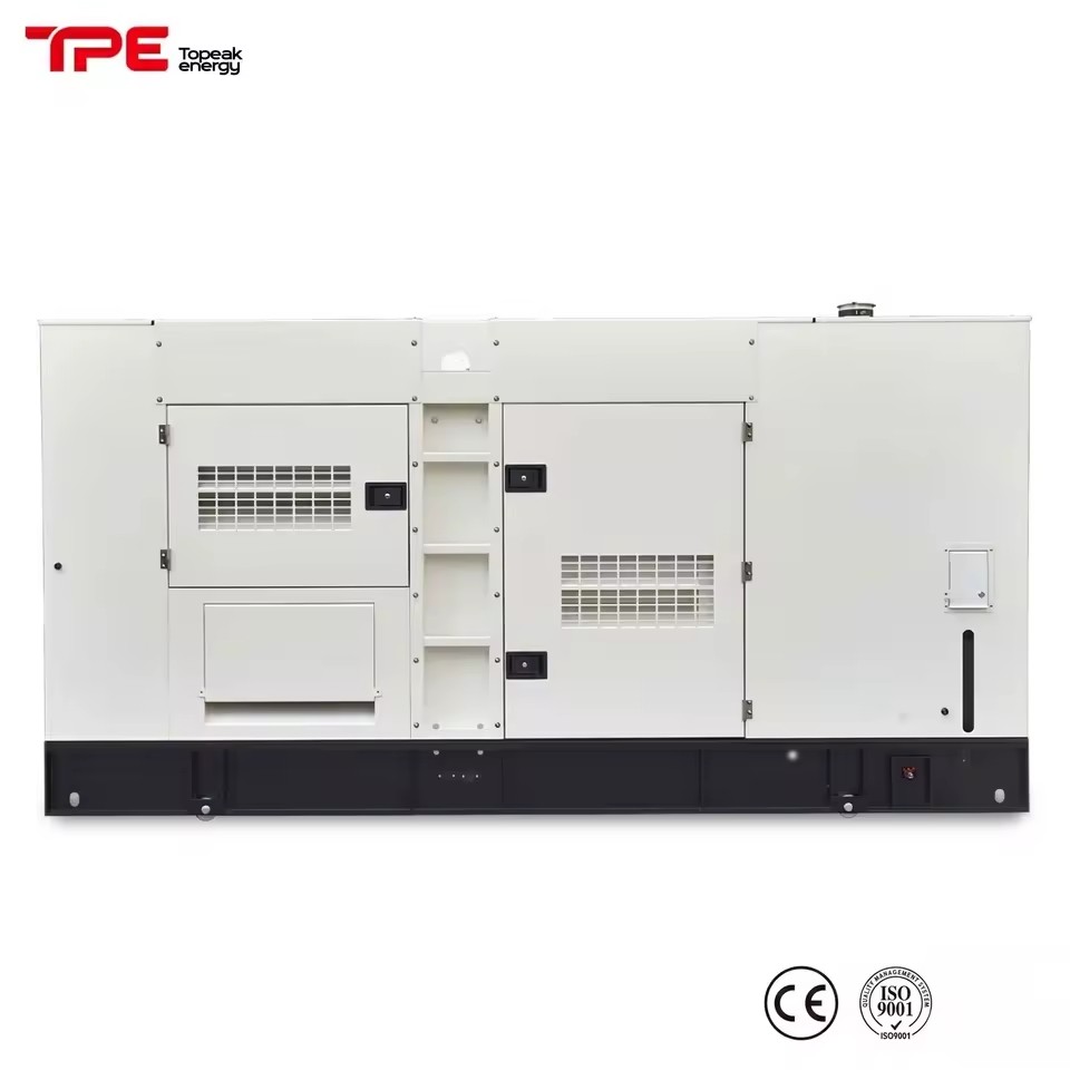 60Hz Diesel Generator Set 300kva 400kva 500kva 3 Phase Output Water Cooling Diesel Generator for Disaster Relief