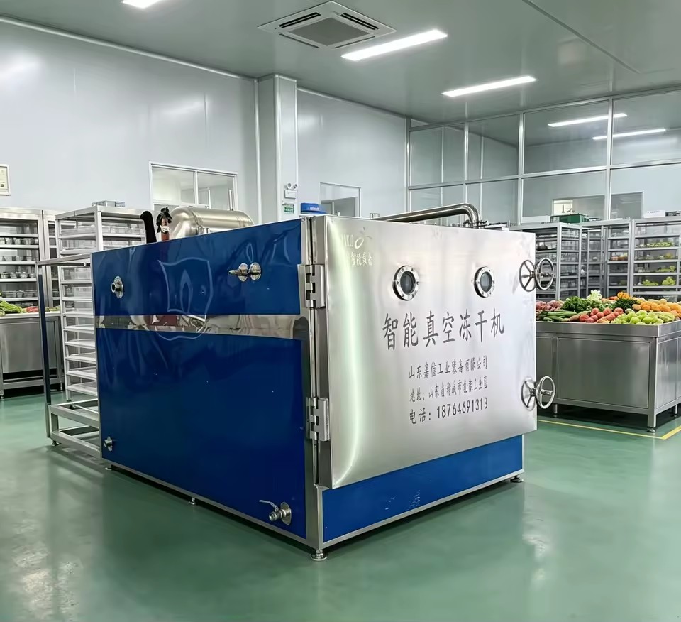 Industrial Freeze Dryers Commercial Freeze-Drying Equipment Stainless Steel Construction Energy Saving & High Safety