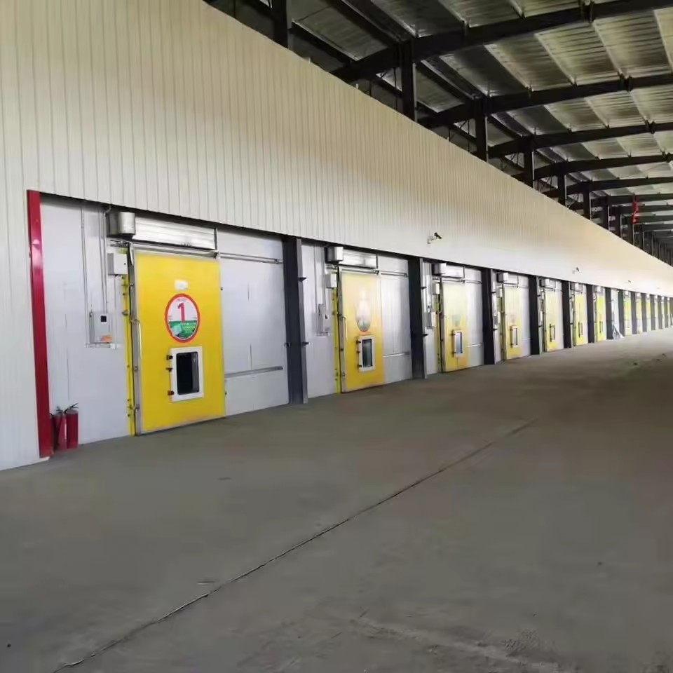Energy Saving Automatic Industrial Dairy Cold Storage Room Complete Refrigeration System Engine Cheese Yogurt Fresh Milk Storage