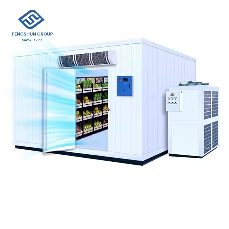 Industrial Blast Freezer Frozen Panel Chambre Froide Cold Storage Cold Room Price with Refrigeration Compressor Unit Equipment