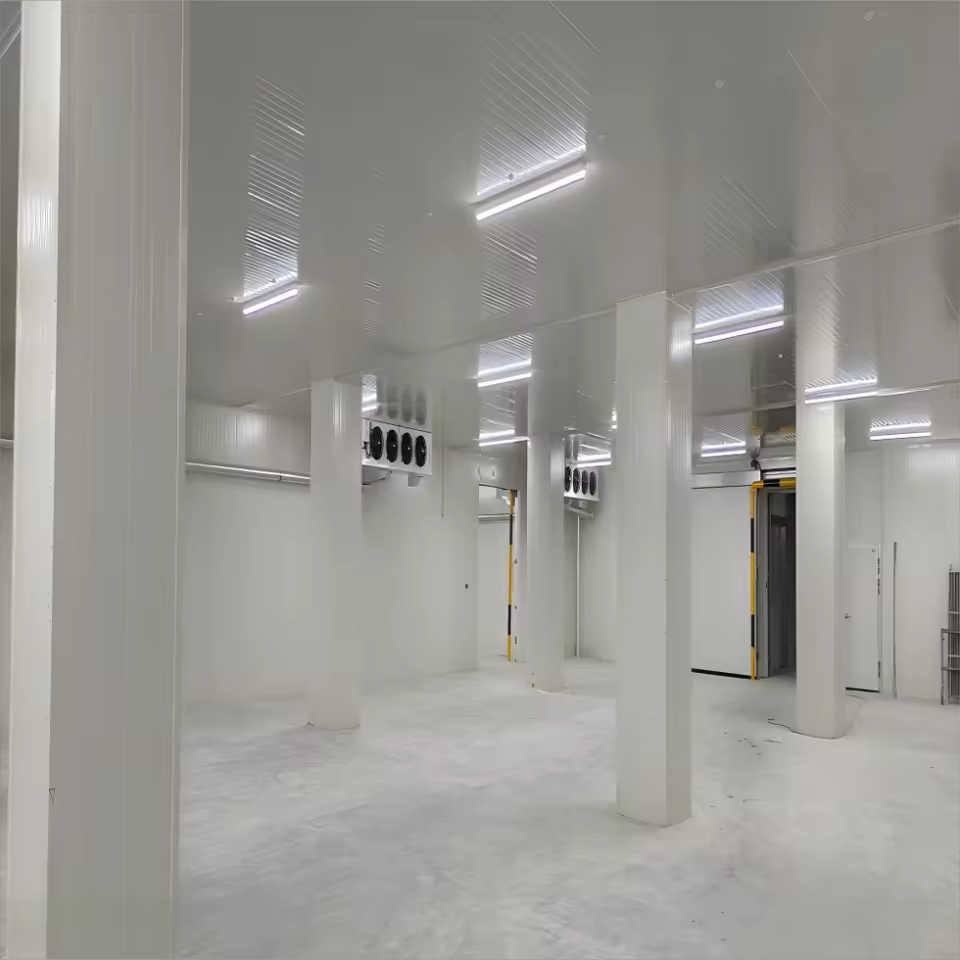 Intelligent Control Freezer Room for Modern Cold Chain with CE Certification