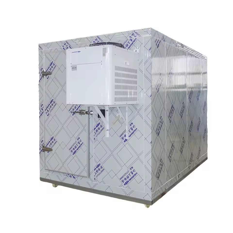 Energy Saving Solar Walk-in Freezer Cold Room Soundproof Design Remote Control Monitoring for Fruit Vegetable Meat Storage