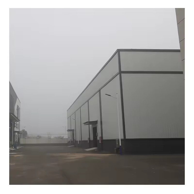 Large Cold Storage Room Walking in Freezing Equipment Cooler Refrigeration Unit Industrial Cooling Systems Refport Freezer