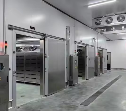 Intelligent Automatic Temperature Control Large Meat Cold Storage Copeland Solar Powered One Stop Construction for Food Factory